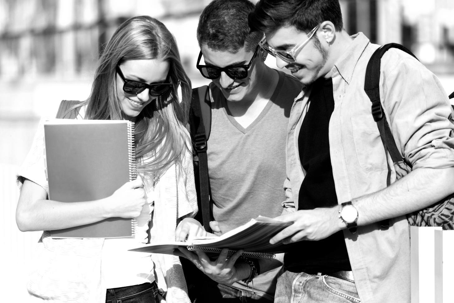 Teammitglied arbeitet an Finanzanalyse